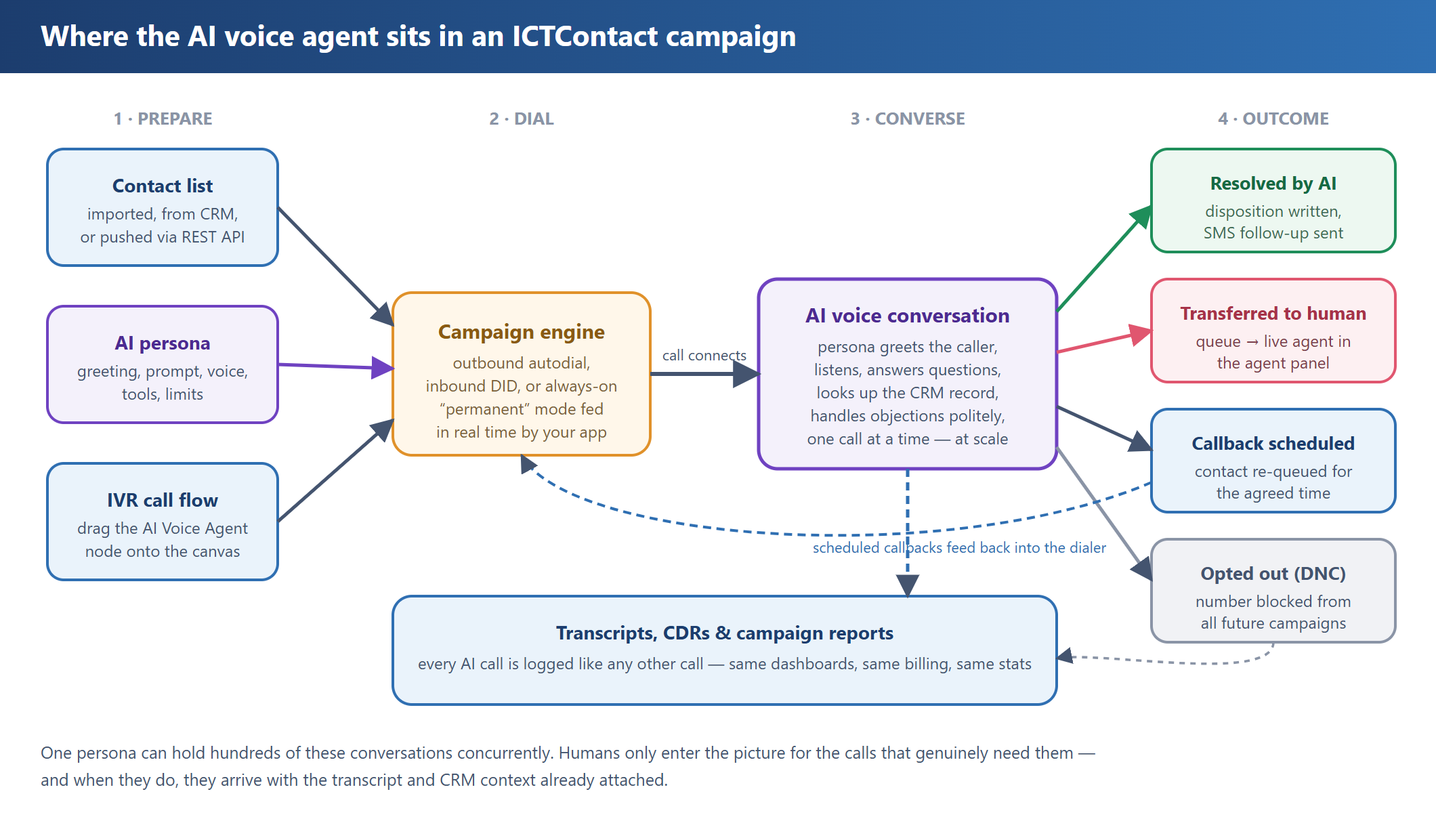 Diagram of the campaign lifecycle: contact lists, AI persona and IVR flow feed the campaign engine, which connects calls to the AI conversation, producing outcomes like resolved, transferred, callback scheduled or opted out, all feeding transcripts and reports